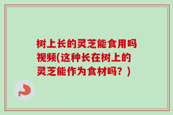 树上长的灵芝能食用吗视频(这种长在树上的灵芝能作为食材吗?) 树上长的灵芝能食用吗视频(这种长在树上的灵芝能作为食材吗?)