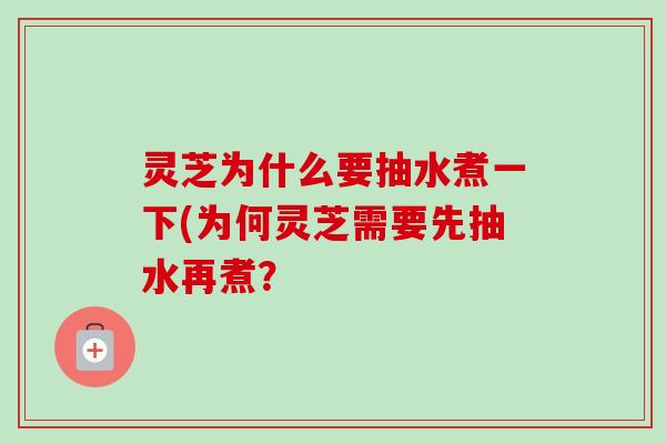 灵芝为什么要抽水煮一下(为何灵芝需要先抽水再煮？