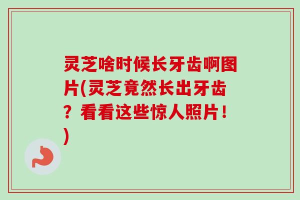 灵芝啥时候长牙齿啊图片(灵芝竟然长出牙齿？看看这些惊人照片！)