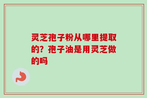 灵芝孢子粉从哪里提取的?孢子油是用灵芝做的吗 灵芝孢子粉从哪里提取的?孢子油是用灵芝做的吗