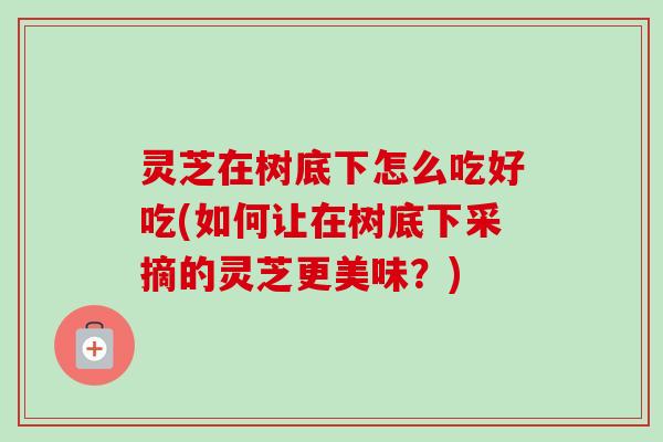 灵芝在树底下怎么吃好吃(如何让在树底下采摘的灵芝更美味?) 灵芝在树底下怎么吃好吃(如何让在树底下采摘的灵芝更美味?)