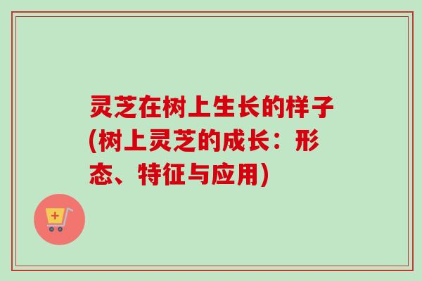 灵芝在树上生长的样子(树上灵芝的成长：形态、特征与应用)