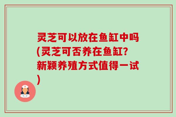灵芝可以放在鱼缸中吗(灵芝可否养在鱼缸?新颖养殖方式值得一试) 灵芝可以放在鱼缸中吗(灵芝可否养在鱼缸?新颖养殖方式值得一试)