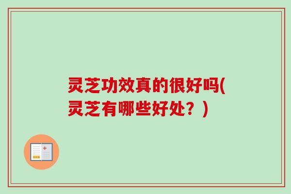 灵芝功效真的很好吗(灵芝有哪些好处?) 灵芝功效真的很好吗(灵芝有哪些好处?)
