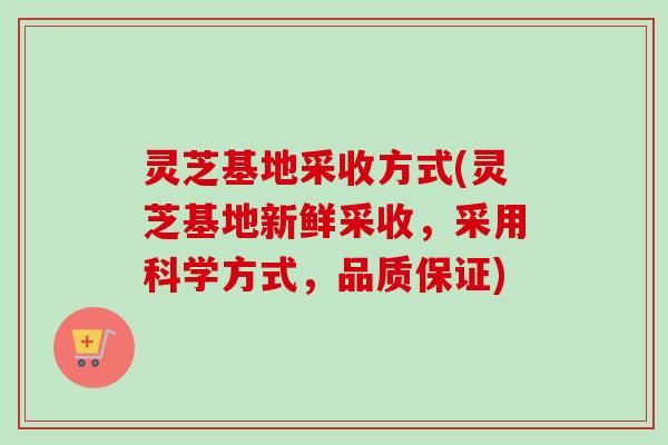 灵芝基地采收方式(灵芝基地新鲜采收,采用科学方式,品质保证) 灵芝基地采收方式(灵芝基地新鲜采收,采用科学方式,品质保证)