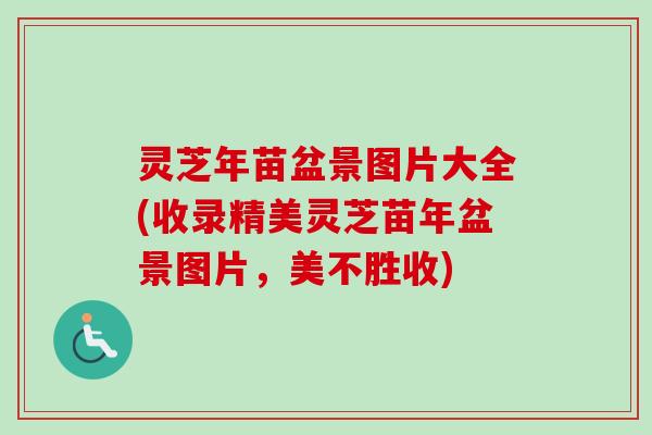 灵芝年苗盆景图片大全(收录精美灵芝苗年盆景图片,美不胜收) 灵芝年苗盆景图片大全(收录精美灵芝苗年盆景图片,美不胜收)