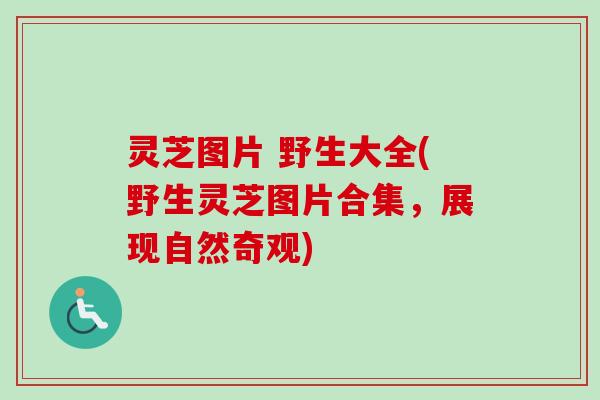 灵芝图片 野生大全(野生灵芝图片合集,展现自然奇观) 灵芝图片 野生大全(野生灵芝图片合集,展现自然奇观)