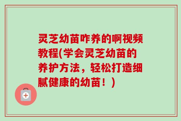 灵芝幼苗咋养的啊视频教程(学会灵芝幼苗的养护方法,轻松打造细腻健康的幼苗!) 灵芝幼苗咋养的啊视频教程(学会灵芝幼苗的养护方法,轻松打造细腻健康的幼苗!)
