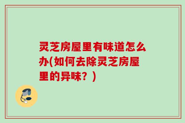 灵芝房屋里有味道怎么办(如何去除灵芝房屋里的异味?) 灵芝房屋里有味道怎么办(如何去除灵芝房屋里的异味?)