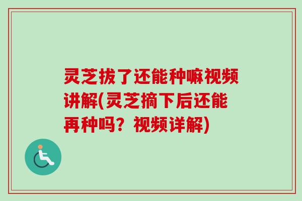 灵芝拔了还能种嘛视频讲解(灵芝摘下后还能再种吗?视频详解) 灵芝拔了还能种嘛视频讲解(灵芝摘下后还能再种吗?视频详解)