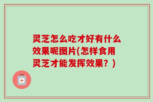 灵芝怎么吃才好有什么效果呢图片(怎样食用灵芝才能发挥效果?) 灵芝怎么吃才好有什么效果呢图片(怎样食用灵芝才能发挥效果?)