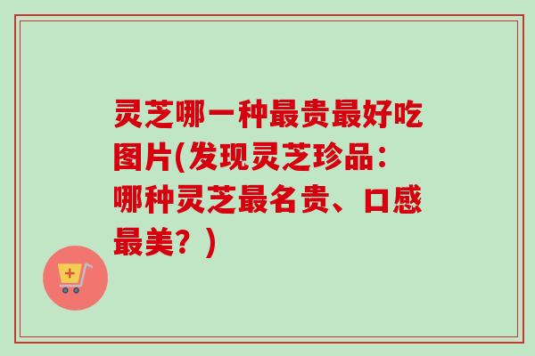 灵芝哪一种贵好吃图片(发现灵芝珍品：哪种灵芝名贵、口感美？)