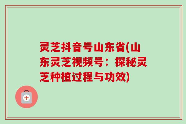 灵芝抖音号山东省(山东灵芝视频号:探秘灵芝种植过程与功效) 灵芝抖音号山东省(山东灵芝视频号:探秘灵芝种植过程与功效)