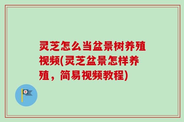 灵芝怎么当盆景树养殖视频(灵芝盆景怎样养殖,简易视频教程) 灵芝怎么当盆景树养殖视频(灵芝盆景怎样养殖,简易视频教程)