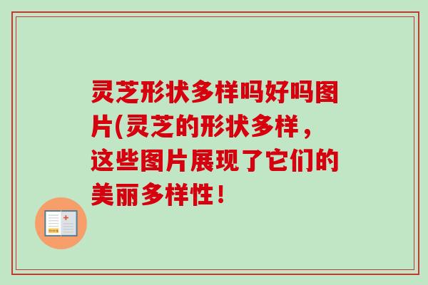 灵芝形状多样吗好吗图片(灵芝的形状多样,这些图片展现了它们的美丽多样性! 灵芝形状多样吗好吗图片(灵芝的形状多样,这些图片展现了它们的美丽多样性!