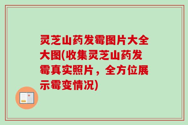 灵芝山药发霉图片大全大图(收集灵芝山药发霉真实照片,全方位展示霉变情况) 灵芝山药发霉图片大全大图(收集灵芝山药发霉真实照片,全方位展示霉变情况)