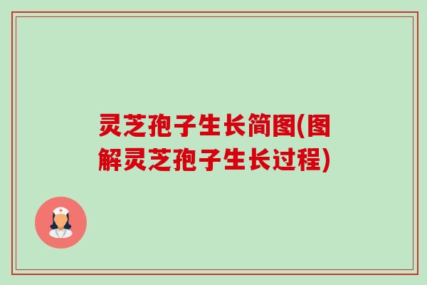 灵芝孢子生长简图(图解灵芝孢子生长过程) 灵芝孢子生长简图(图解灵芝孢子生长过程)