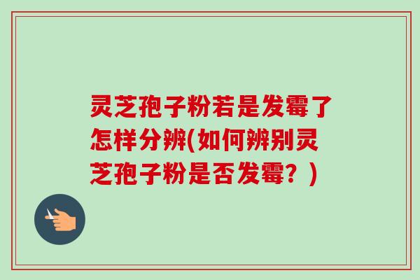 灵芝孢子粉若是发霉了怎样分辨(如何辨别灵芝孢子粉是否发霉？)