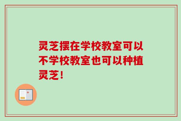 灵芝摆在学校教室可以不学校教室也可以种植灵芝！