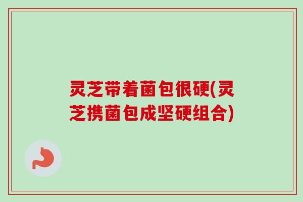 灵芝带着菌包很硬(灵芝携菌包成坚硬组合) 灵芝带着菌包很硬(灵芝携菌包成坚硬组合)
