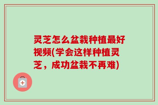 灵芝怎么盆栽种植好视频(学会这样种植灵芝,成功盆栽不再难) 灵芝怎么盆栽种植好视频(学会这样种植灵芝,成功盆栽不再难)