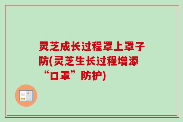 灵芝成长过程罩上罩子防(灵芝生长过程增添“口罩”防护) 灵芝成长过程罩上罩子防(灵芝生长过程增添“口罩”防护)