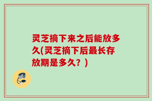 灵芝摘下来之后能放多久(灵芝摘下后长存放期是多久？)