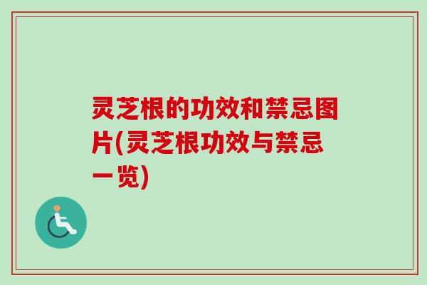 灵芝根的功效和禁忌图片(灵芝根功效与禁忌一览)