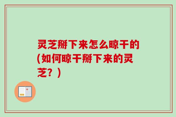 灵芝掰下来怎么晾干的(如何晾干掰下来的灵芝?) 灵芝掰下来怎么晾干的(如何晾干掰下来的灵芝?)