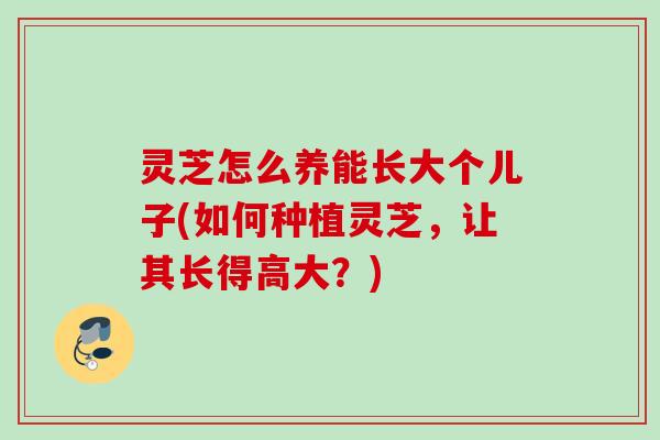 灵芝怎么养能长大个儿子(如何种植灵芝,让其长得高大?) 灵芝怎么养能长大个儿子(如何种植灵芝,让其长得高大?)