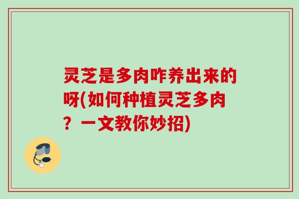灵芝是多肉咋养出来的呀(如何种植灵芝多肉?一文教你妙招) 灵芝是多肉咋养出来的呀(如何种植灵芝多肉?一文教你妙招)