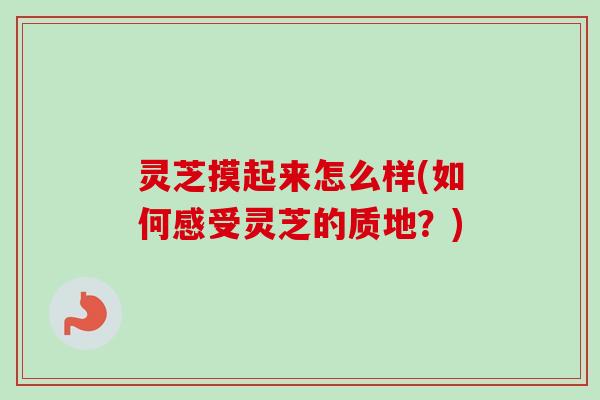 灵芝摸起来怎么样(如何感受灵芝的质地?) 灵芝摸起来怎么样(如何感受灵芝的质地?)