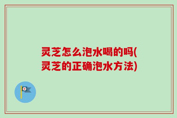 灵芝怎么泡水喝的吗(灵芝的正确泡水方法) 灵芝怎么泡水喝的吗(灵芝的正确泡水方法)