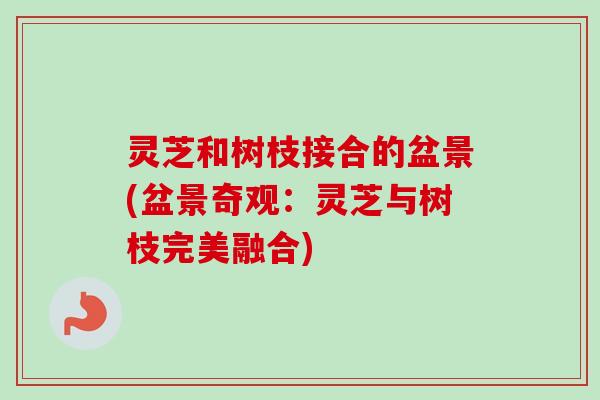 灵芝和树枝接合的盆景(盆景奇观：灵芝与树枝完美融合)