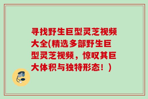寻找野生巨型灵芝视频大全(精选多部野生巨型灵芝视频,惊叹其巨大体积与独特形态!) 寻找野生巨型灵芝视频大全(精选多部野生巨型灵芝视频,惊叹其巨大体积与独特形态!)