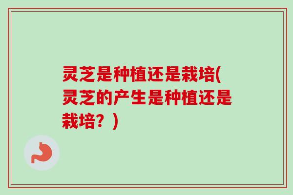 灵芝是种植还是栽培(灵芝的产生是种植还是栽培?) 灵芝是种植还是栽培(灵芝的产生是种植还是栽培?)
