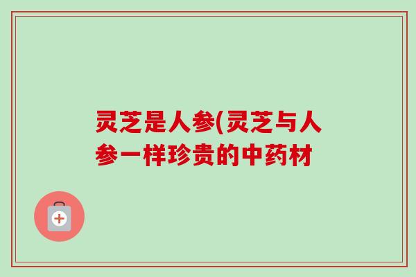 灵芝是人参(灵芝与人参一样珍贵的材 灵芝是人参(灵芝与人参一样珍贵的材