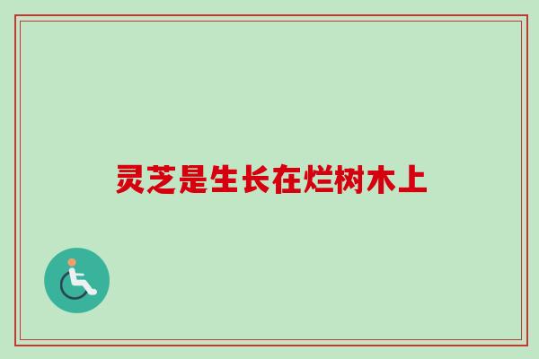 灵芝是生长在烂树木上