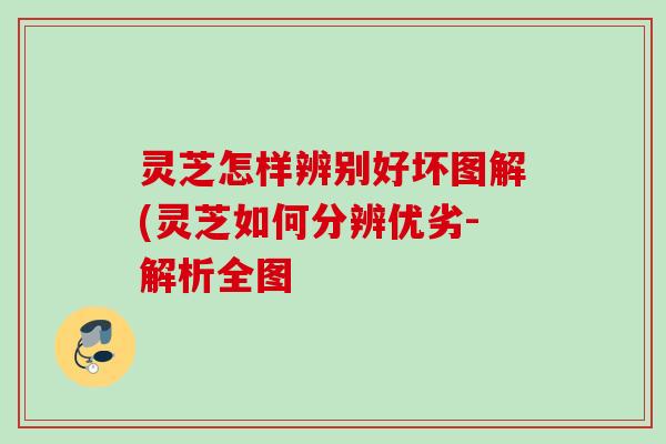 灵芝怎样辨别好坏图解(灵芝如何分辨优劣-解析全图 灵芝怎样辨别好坏图解(灵芝如何分辨优劣-解析全图