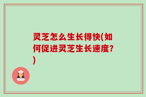 灵芝怎么生长得快(如何促进灵芝生长速度？)