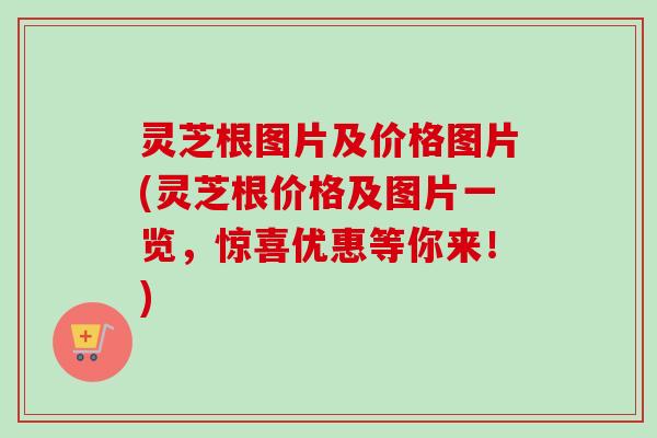 灵芝根图片及价格图片(灵芝根价格及图片一览,惊喜优惠等你来!) 灵芝根图片及价格图片(灵芝根价格及图片一览,惊喜优惠等你来!)