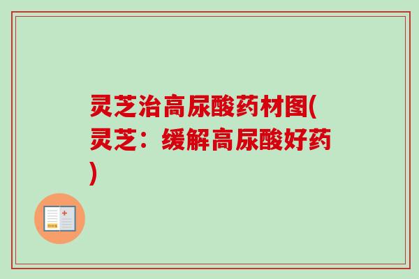 灵芝高尿酸药材图(灵芝:缓解高尿酸好药) 灵芝高尿酸药材图(灵芝:缓解高尿酸好药)