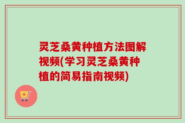 灵芝桑黄种植方法图解视频(学习灵芝桑黄种植的简易指南视频) 灵芝桑黄种植方法图解视频(学习灵芝桑黄种植的简易指南视频)