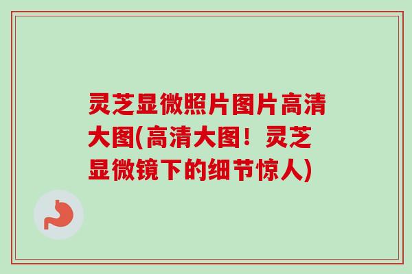 灵芝显微照片图片高清大图(高清大图！灵芝显微镜下的细节惊人)