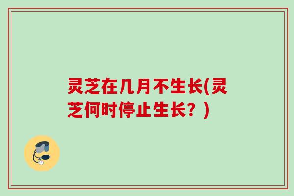 灵芝在几月不生长(灵芝何时停止生长?) 灵芝在几月不生长(灵芝何时停止生长?)