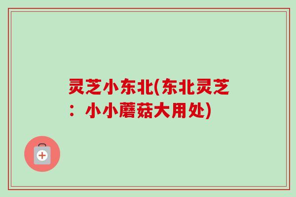 灵芝小东北(东北灵芝:小小蘑菇大用处) 灵芝小东北(东北灵芝:小小蘑菇大用处)