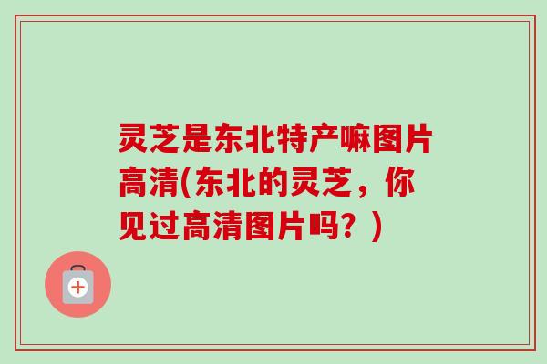 灵芝是东北特产嘛图片高清(东北的灵芝,你见过高清图片吗?) 灵芝是东北特产嘛图片高清(东北的灵芝,你见过高清图片吗?)