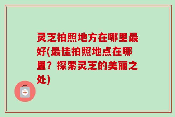 灵芝拍照地方在哪里好(佳拍照地点在哪里？探索灵芝的美丽之处)