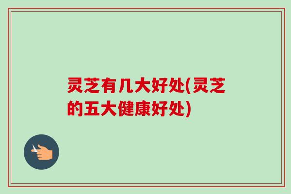 灵芝有几大好处(灵芝的五大健康好处)