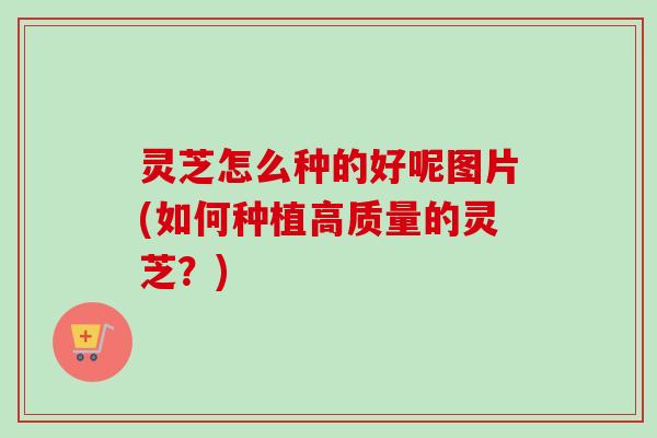 灵芝怎么种的好呢图片(如何种植高质量的灵芝？)